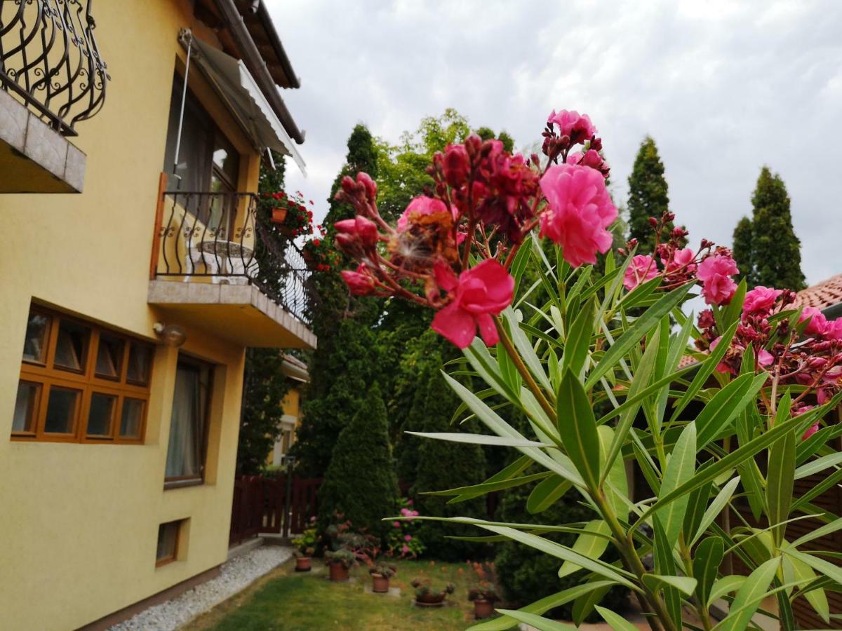 Julia Panzio Bed & Breakfast Hajdúszoboszló Екстериор снимка
