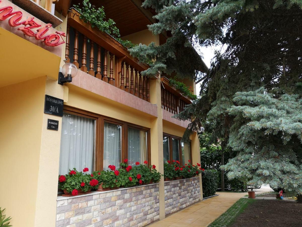 Julia Panzio Bed & Breakfast Hajdúszoboszló Екстериор снимка
