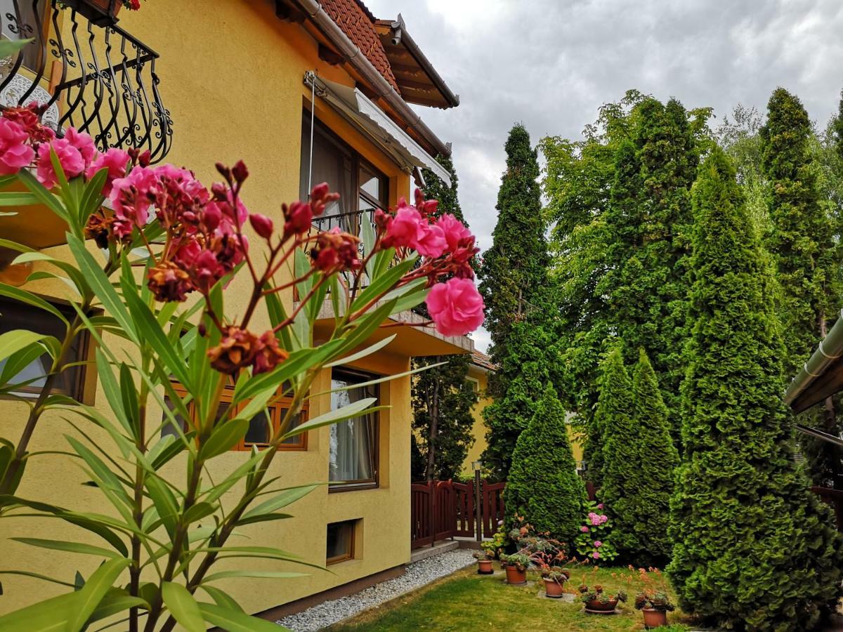 Julia Panzio Bed & Breakfast Hajdúszoboszló Екстериор снимка